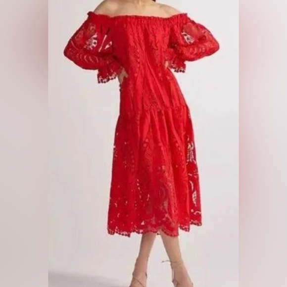 Delfi Collective embroidered off shoulder midi dress - Picture 5 of 5